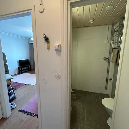 Studio Apartment Near The Center Jyvaskyla Exterior photo