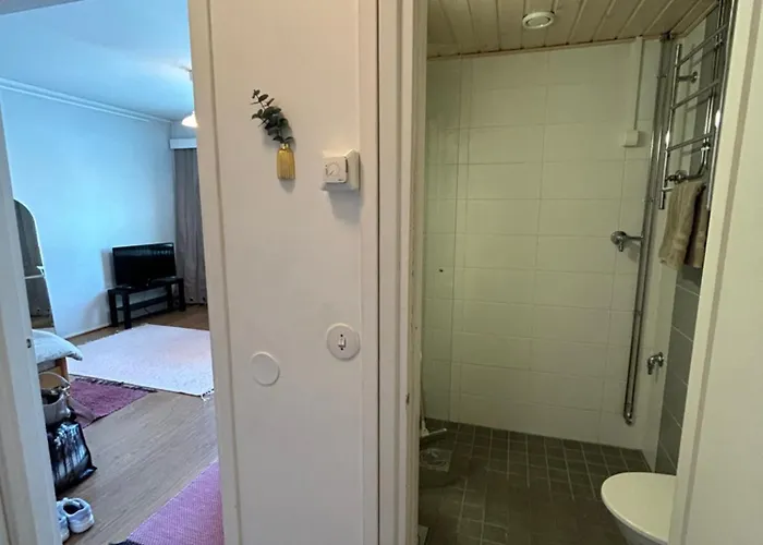 Studio Apartment Near The Center